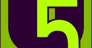 Ulm 5 Press Conference