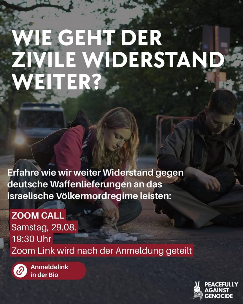 Zoom Call - Wie geht der zivile Widerstand weiter?
