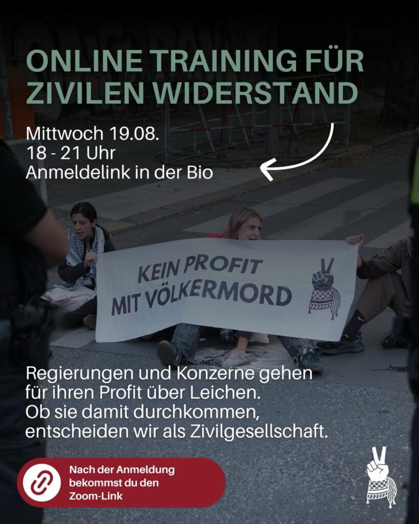 Online Training für zivilen Widerstand - Anmeldung erforderlich!
