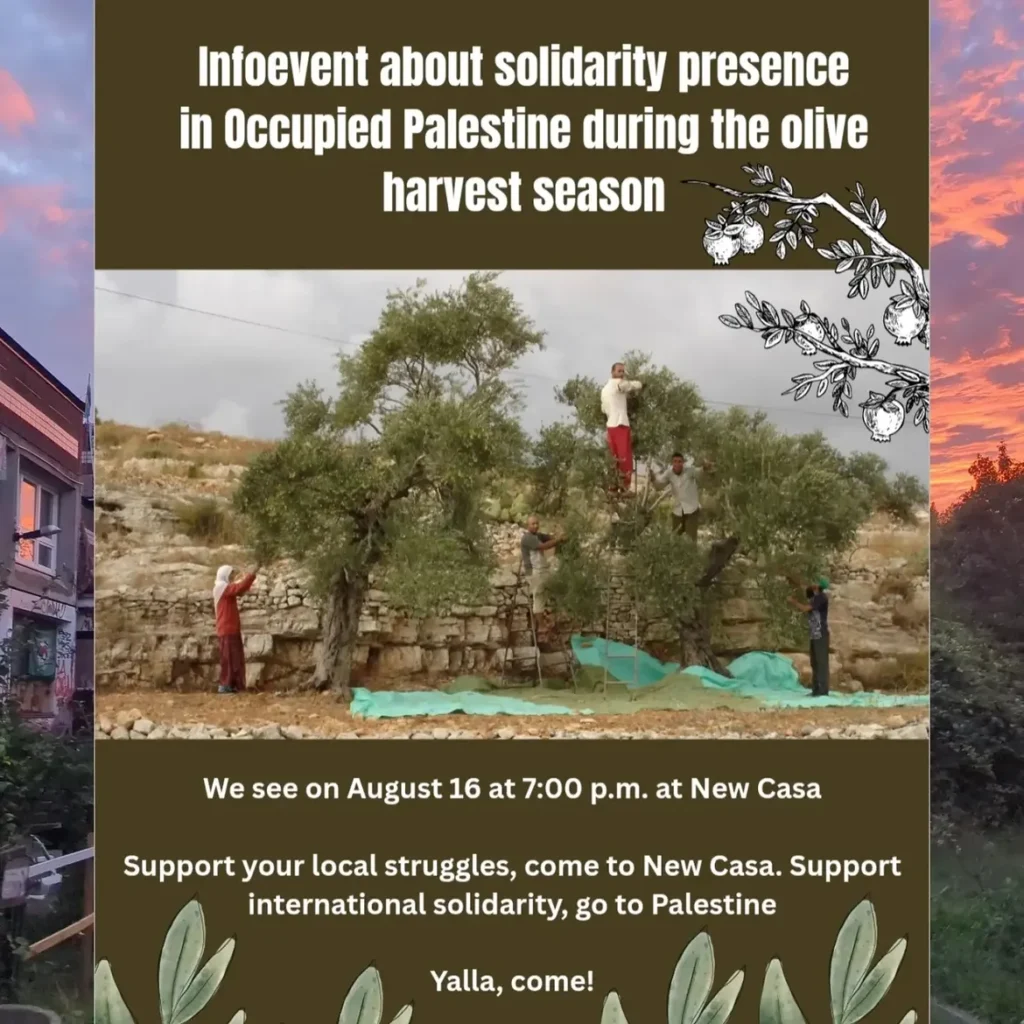 Infoevent about solidarity presence in occupied Palestine during the olive harvest season
