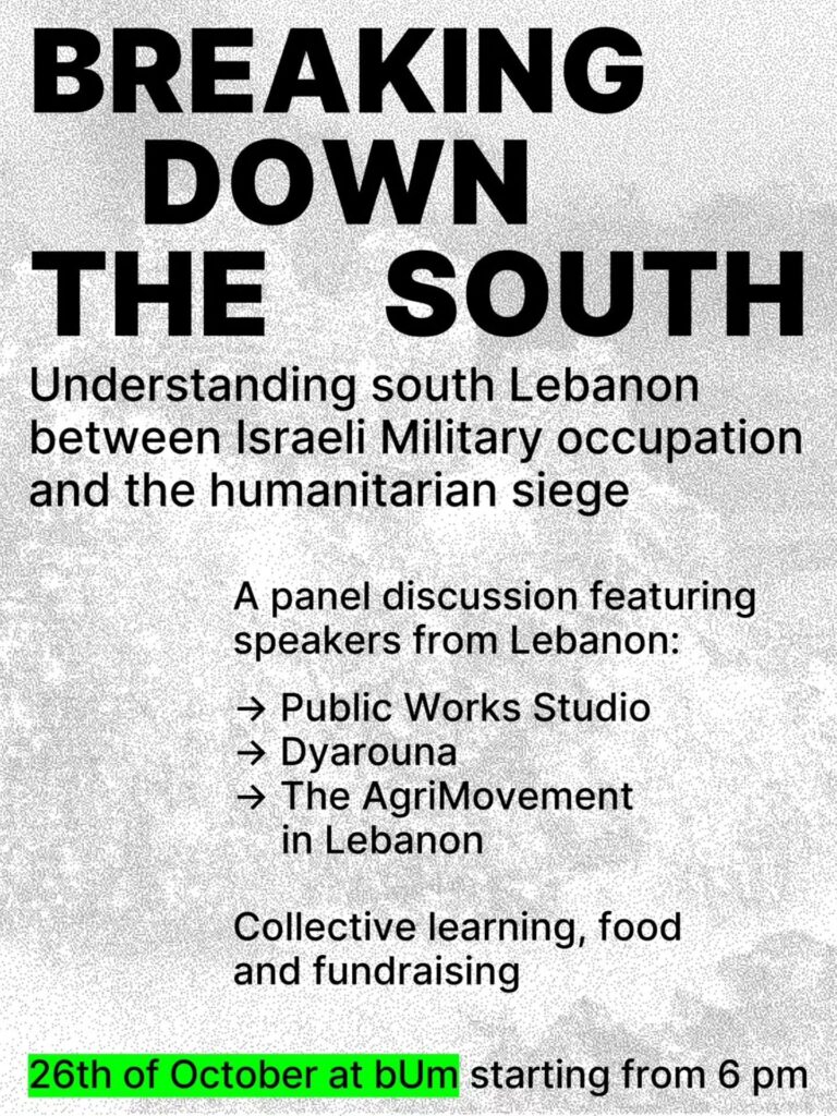 BREAKING DOWN THE SOUTH - Understanding south Lebanon between Israeli Military occupation and the humanitarian siege